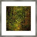 The Road Into Fall Framed Print