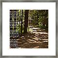 The Road Not Taken - Robert Frost Path In The Woods Framed Print