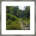 The Road Less Travelled Framed Print