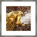 The Roar Framed Print