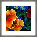 The Secret Life Of Tulips Framed Print