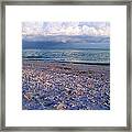 The Shells Of Sanibel Framed Print