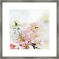 The Silent World Of A Butterfly Framed Print