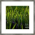 The Simple Things Framed Print