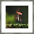 The Simplicity Of Nature Framed Print