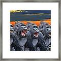 The Singing Gorillas Framed Print