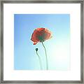 The Spring Wind Framed Print