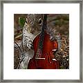 The Squirrel And His Double Bass Framed Print
