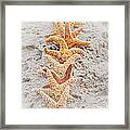 The Starfish Line Dance Framed Print