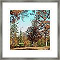 The Swing With Red Bicycle - Davidson College Framed Print