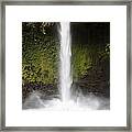 The Texture Of Nature Framed Print