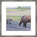 The Three Bears Framed Print