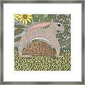 The Tortoise And The Hare Framed Print