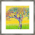 The Tree In Spring At Midday - Painterly - Abstract - Fractal Art Framed Print