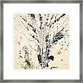 The Tree Of Knowledge Framed Print