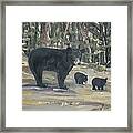 Cubs - Bears - Goldilocks And The Three Bears Framed Print