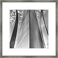 The Usaf Memorial In Black And White Framed Print