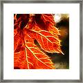 The Warmth Of Fall Framed Print