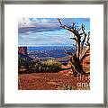 The Watchman Framed Print