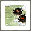 The Water Lilies Collection - Photopower 1039 Framed Print