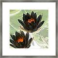 The Water Lilies Collection - Photopower 1046 Framed Print
