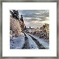 The Way Home Framed Print