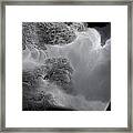 The White Tree Framed Print