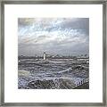 The Wild Mersey Framed Print