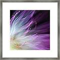 The Will-o-the-wisp Framed Print