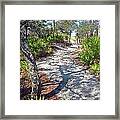 The Winding Path Framed Print