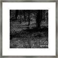 The Woods Are Lovely Dark And Deep Framed Print