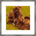 The Wrestling Match Framed Print