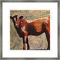 The Yearling Calf Framed Print