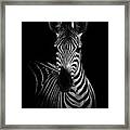 The Zebra Framed Print