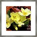 Then It Was Spring 2 Framed Print