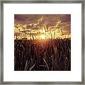 There Goes Another Day Framed Print