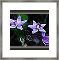 There Is Always A Bright Spot Framed Print