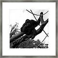 Thinking Of You Black And White Framed Print