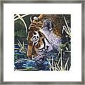 Thirsty Boy Framed Print