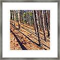 This Is A Steep Hill For Old Legs Framed Print