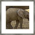 This Is Namibia No. 16 - Safe By Your Side Framed Print