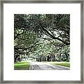 This Is The South Framed Print