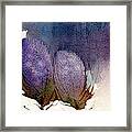 Thistle Weather Framed Print