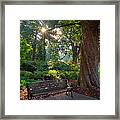 Thoughts For A New Day Framed Print