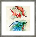 Three Fish Framed Print