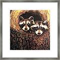 Three Is A Crowd Framed Print