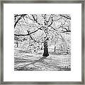 Three Ladies Dancing Framed Print