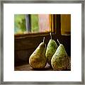 Three Pears In The Window Framed Print