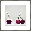 Three Red Cherries On White Background Framed Print
