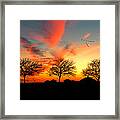 Three Trees In The Park Framed Print